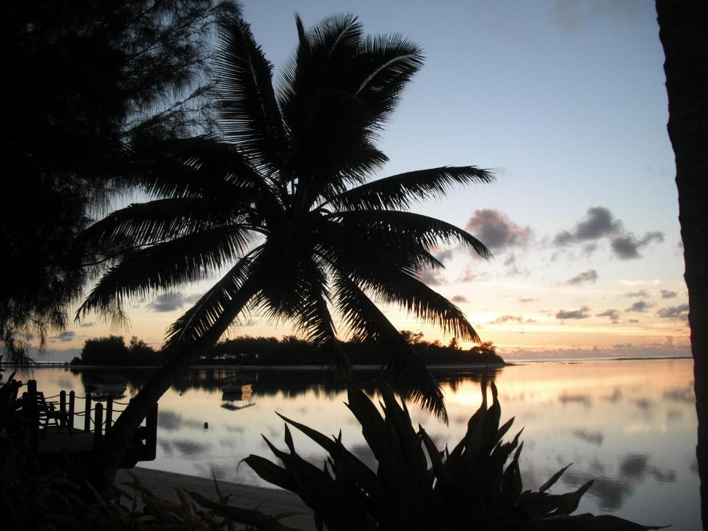 Muri Beachcomber Rarotonga Zewnętrze zdjęcie